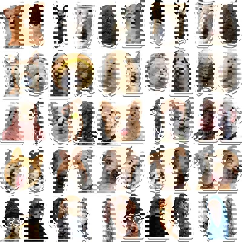 10/30/50 Pieces Dog Life Meme Sticker PVC Waterproof Aesthetic Diary Laptop Sketchbook Stickers