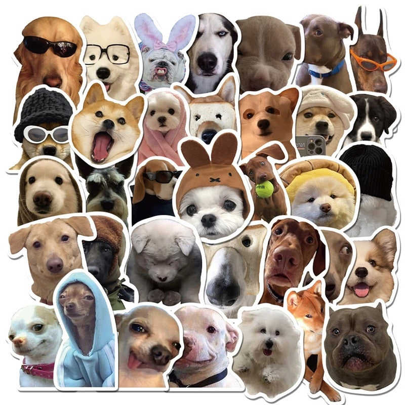 10/30/50 Pieces Dog Life Meme Sticker PVC Waterproof Aesthetic Diary Laptop Sketchbook Stickers