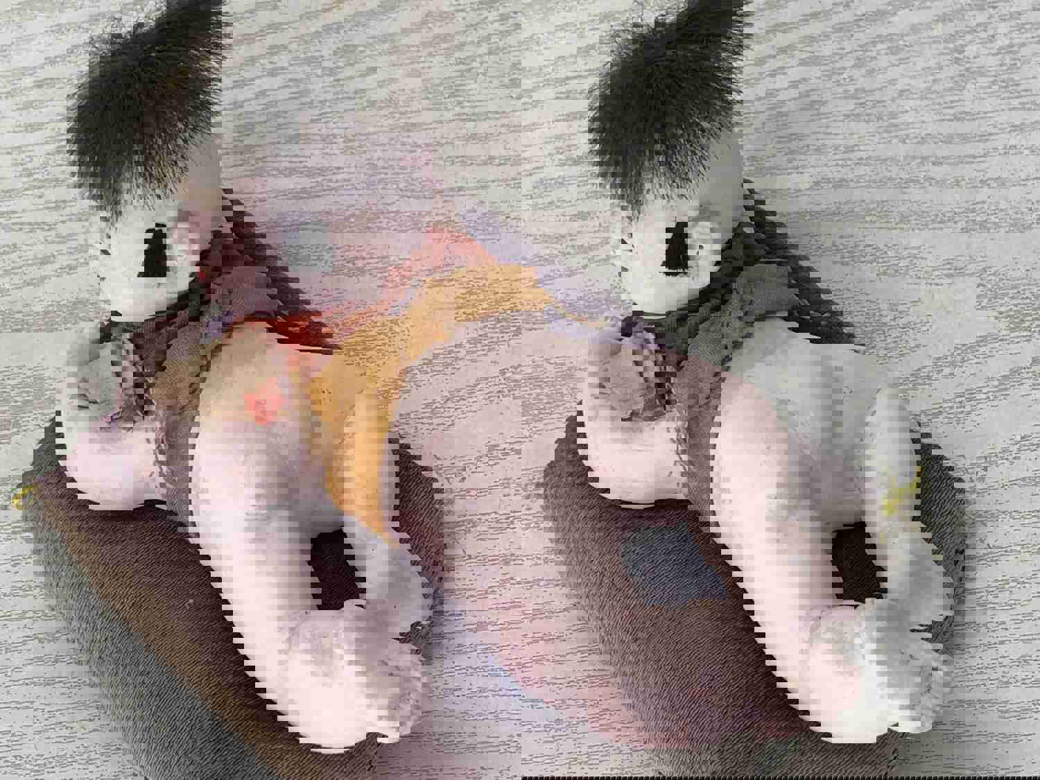 Y3578 NINGYO Crawling Baby Doll Toy Figure Figurine Japanese Vintage Antique