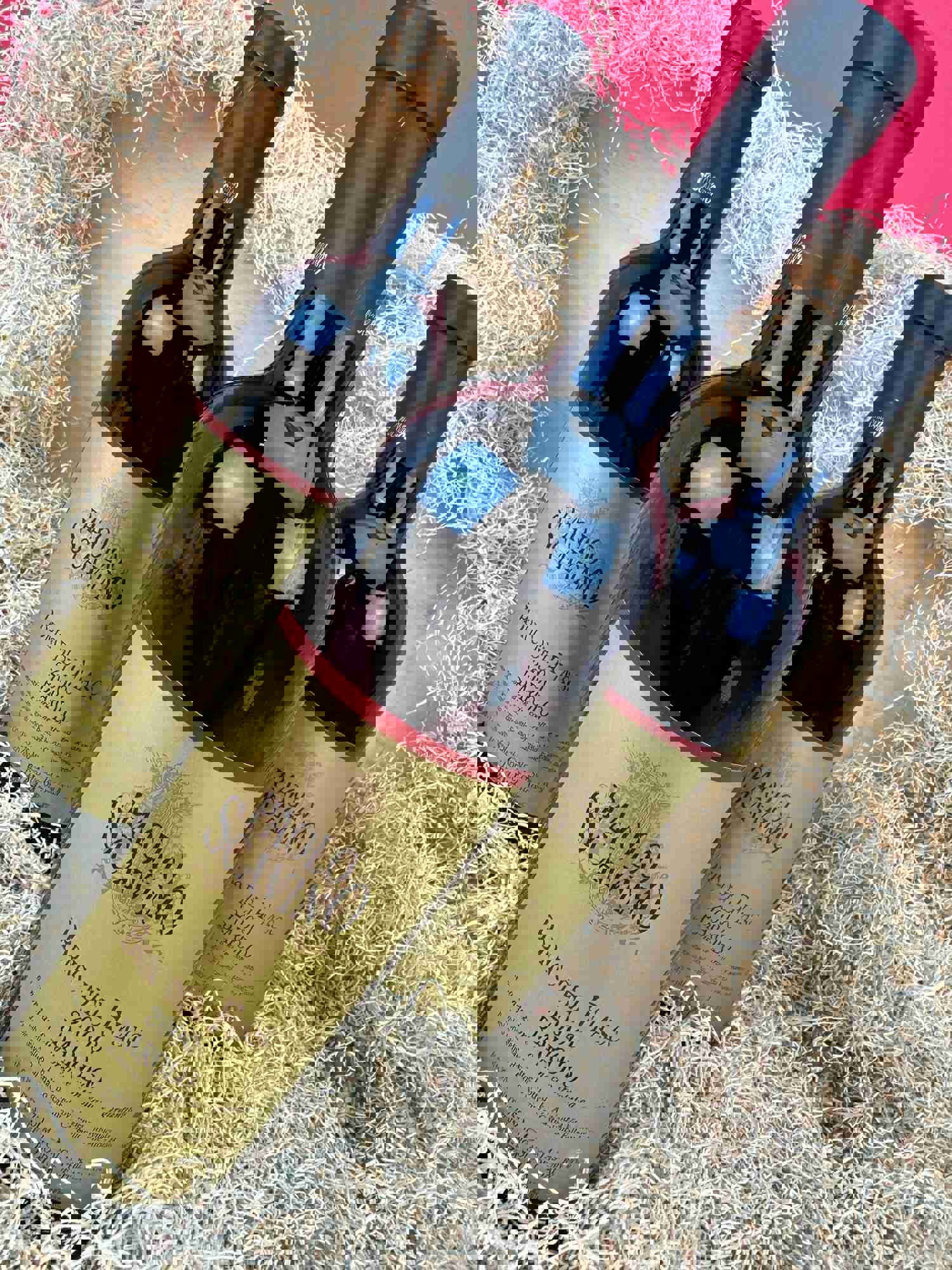 2000 Paolo Scavino Bric del Fiasc Barolo - 750ml