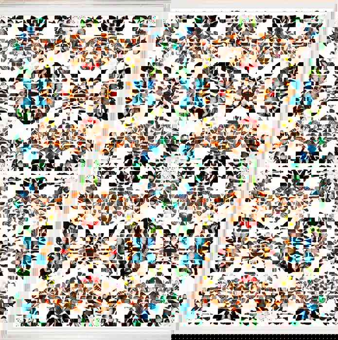 Butterfly Patterns 1 Art by Natural Curiosities - Handcrafted Framed Butterfly Wing Art