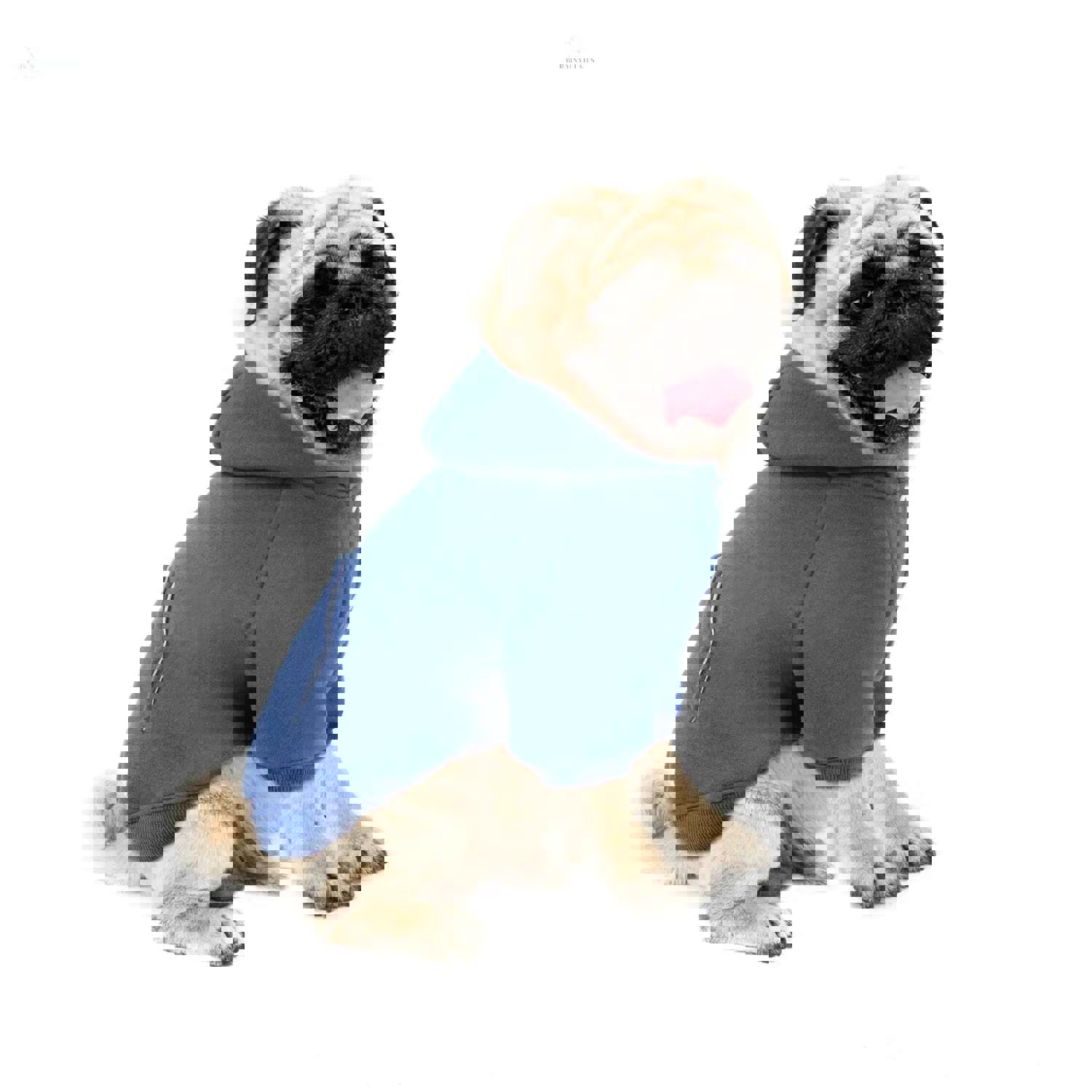 Autumn And Winter Small Dog Fleece Hooded Sweater