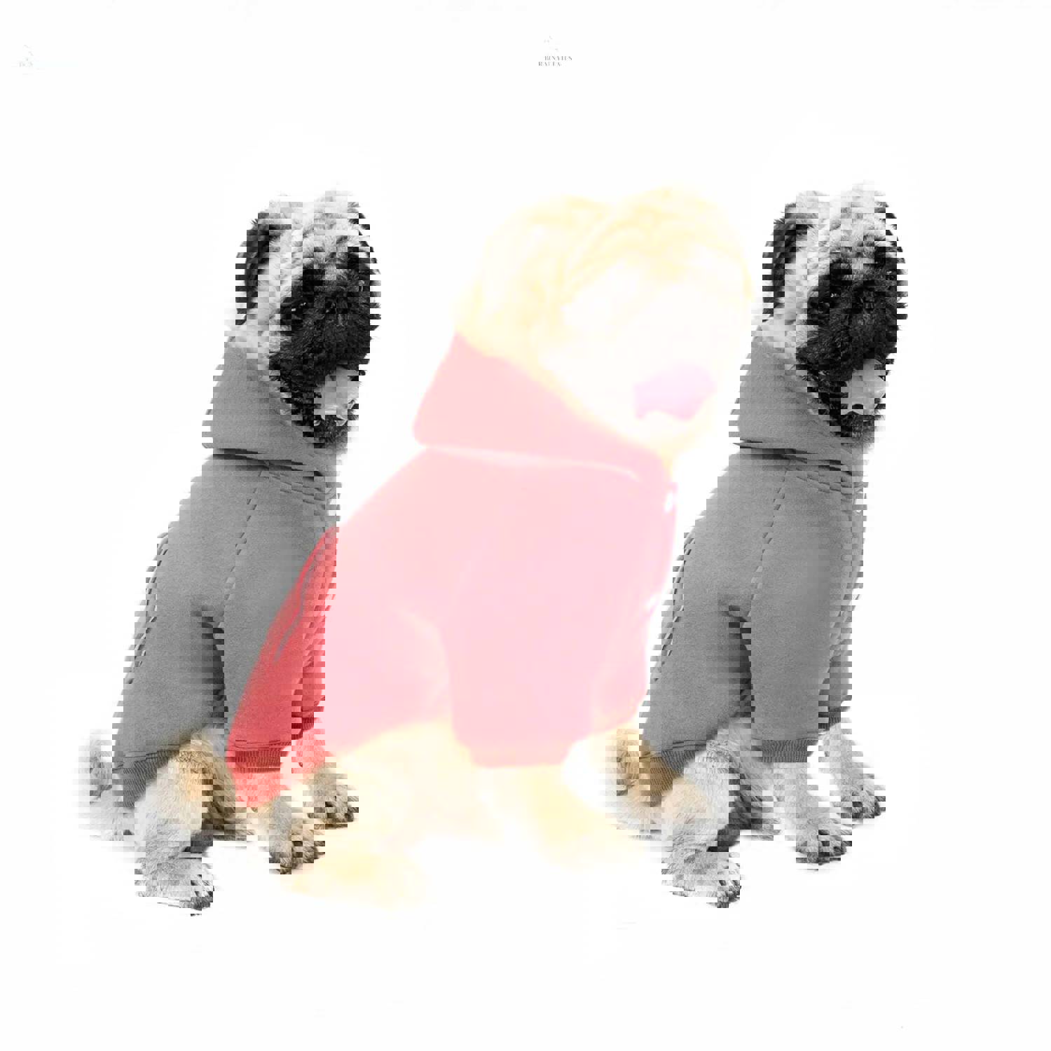 Autumn And Winter Small Dog Fleece Hooded Sweater