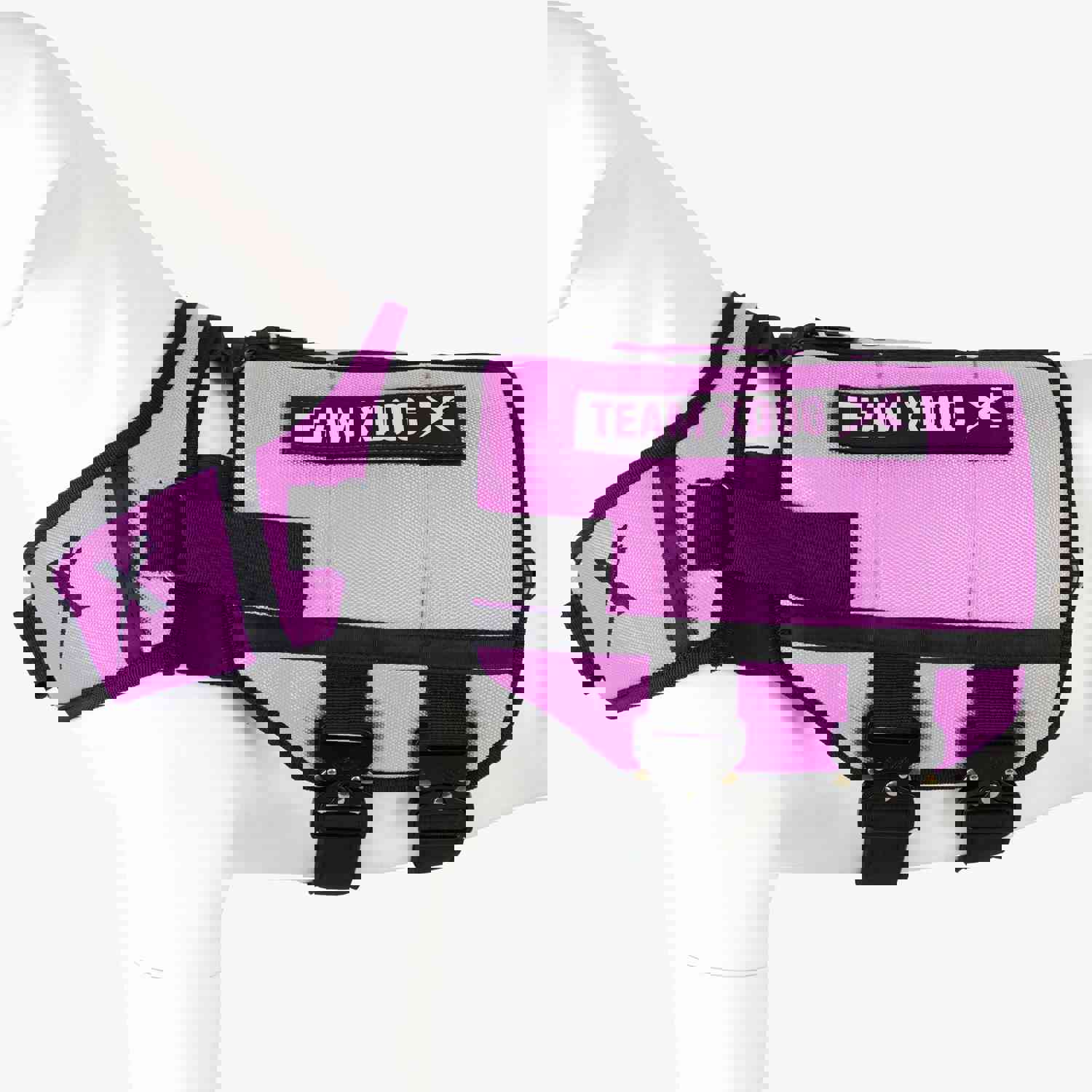 Xdog Weight & Fitness Vest™️ 3.5 Health Enhancement Dog Harness (Teal & Purple) - Refurbished 30% Off Like New