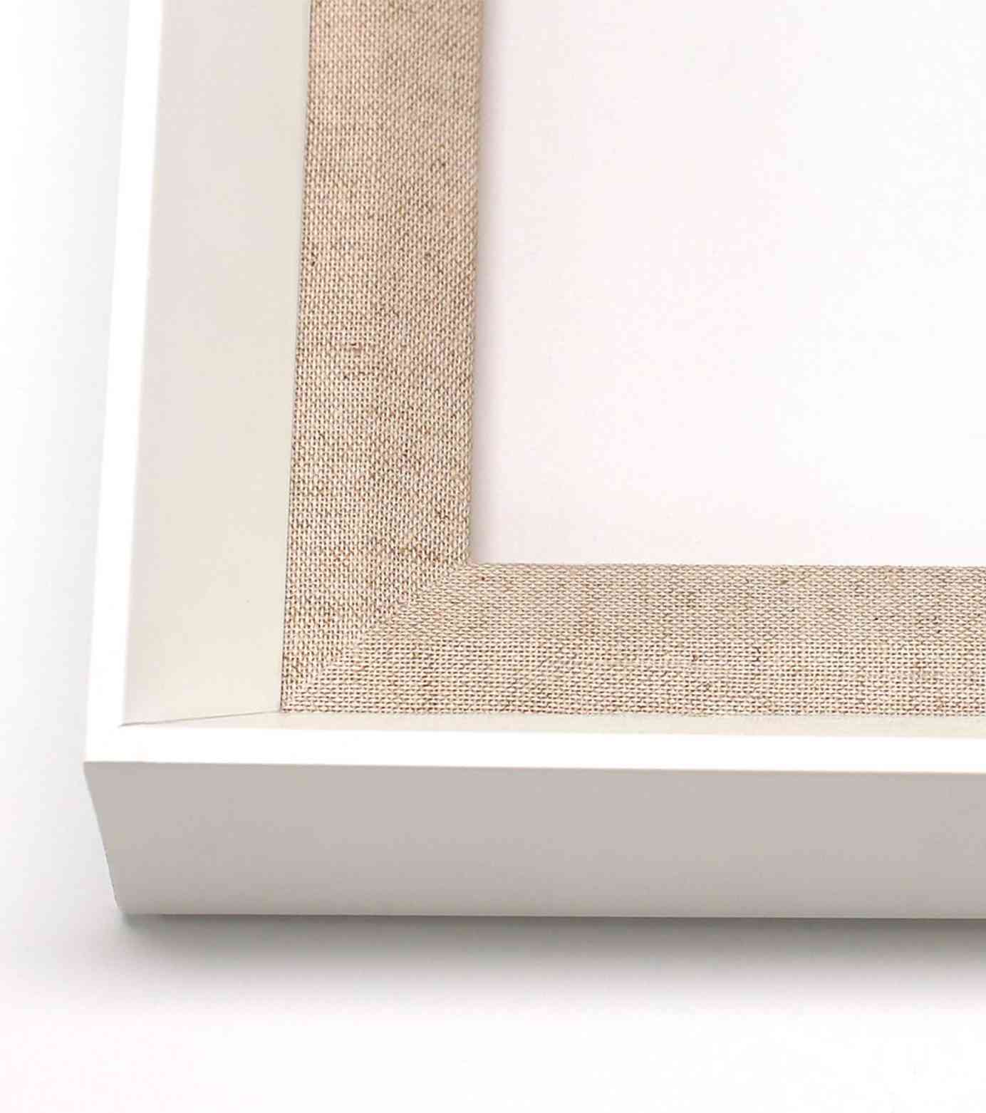 Natural Curiosities Carnations 3 Art - Modern Botanical Custom Framed Art