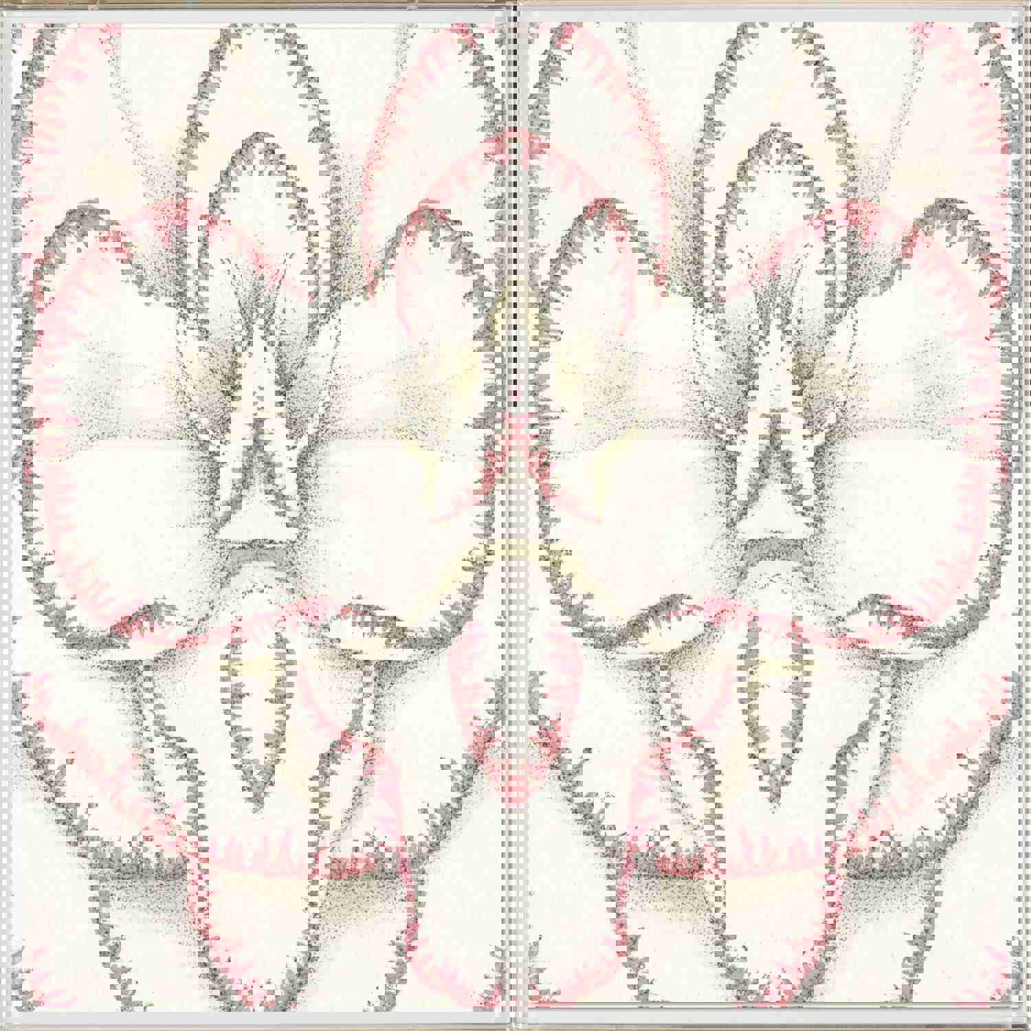 Natural Curiosities Carnations 3 Art - Modern Botanical Custom Framed Art