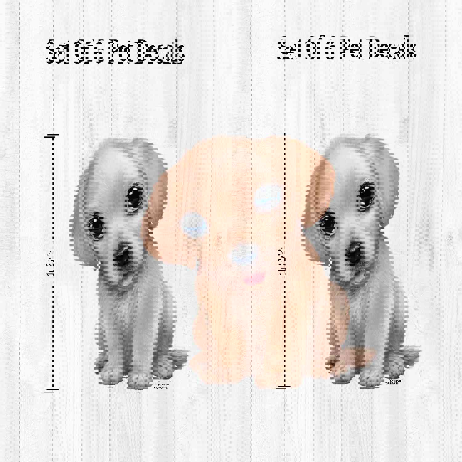 Kittens & Puppies Peel and Stick Wall Decals