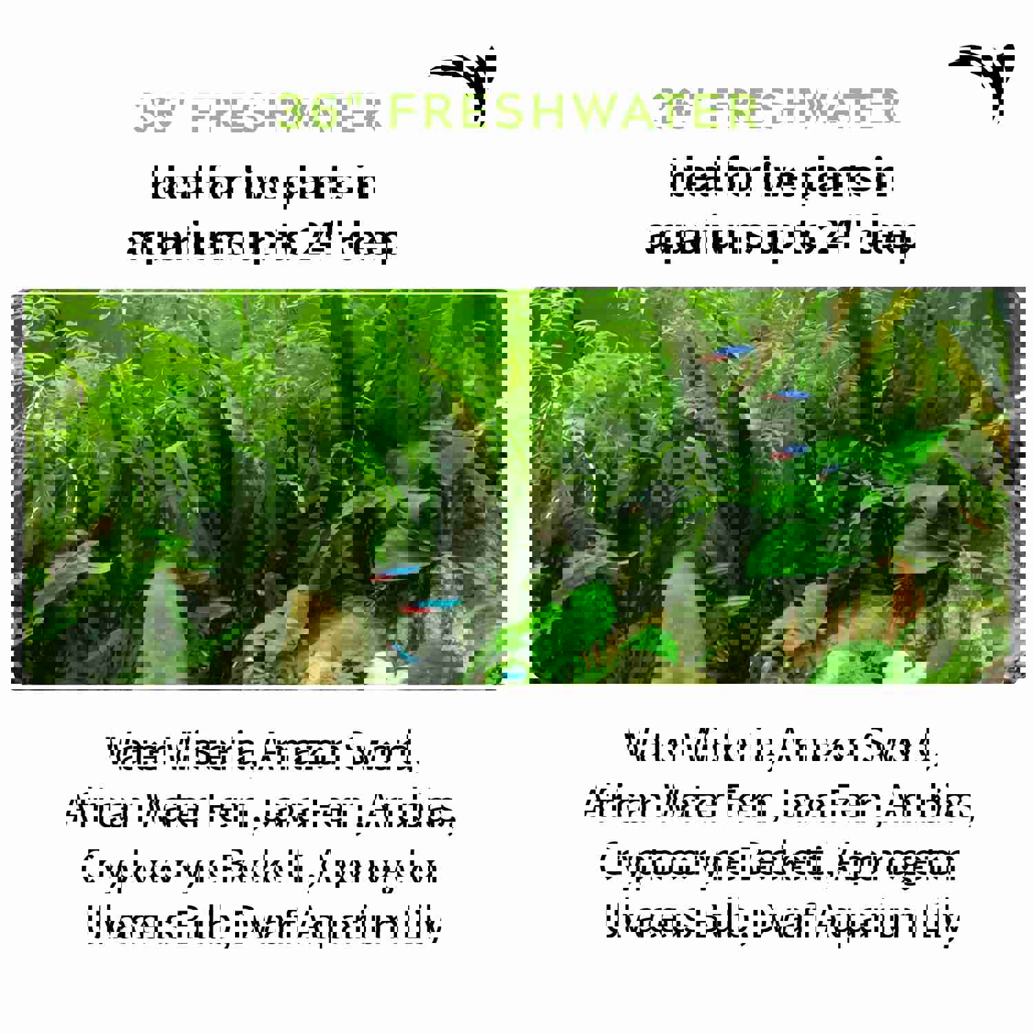 Aquatic Life EDGE WiFi LED Freshwater Aquarium Light Fixture, 36-Inch