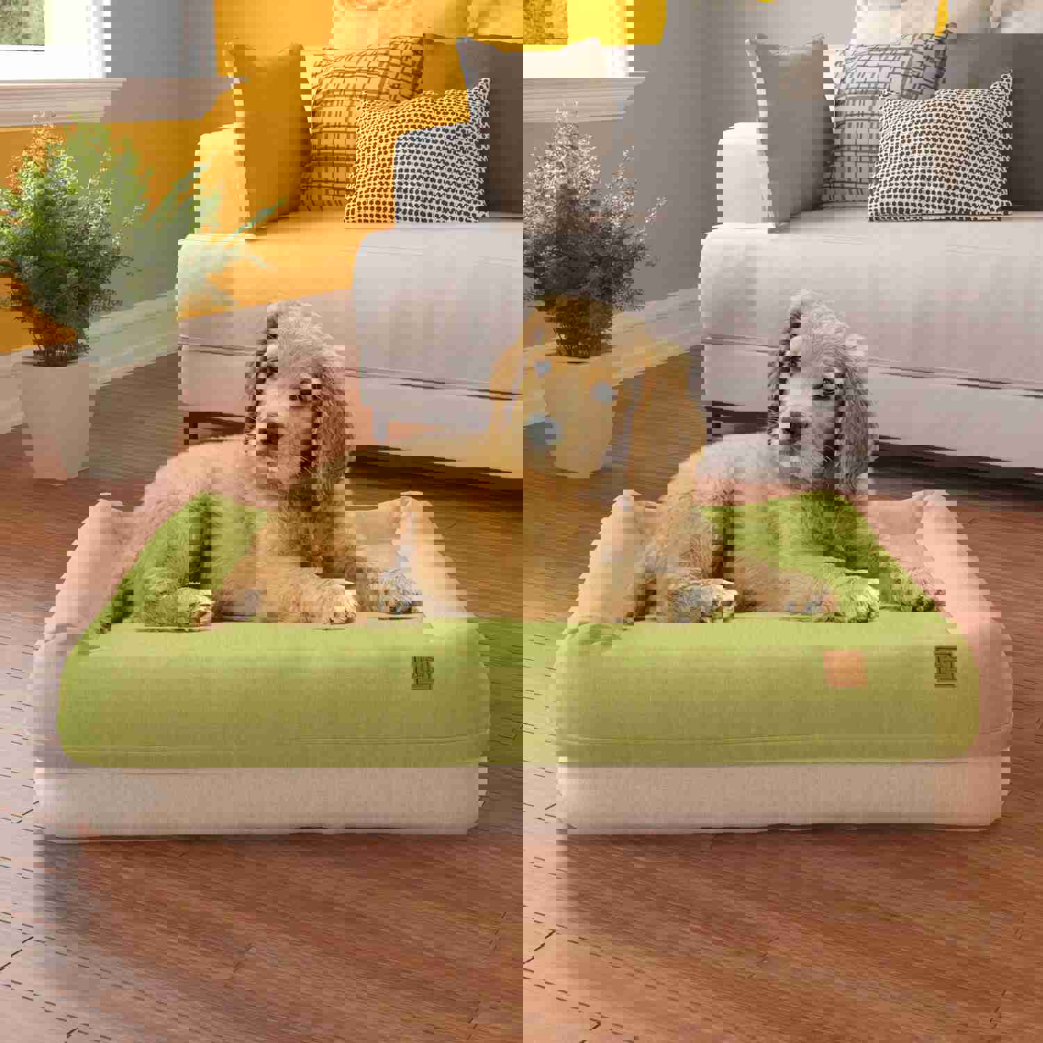 Pup Pup Kitti Plush Orthopedic Breatheable Pet Mat with NoFom Cushion Technology