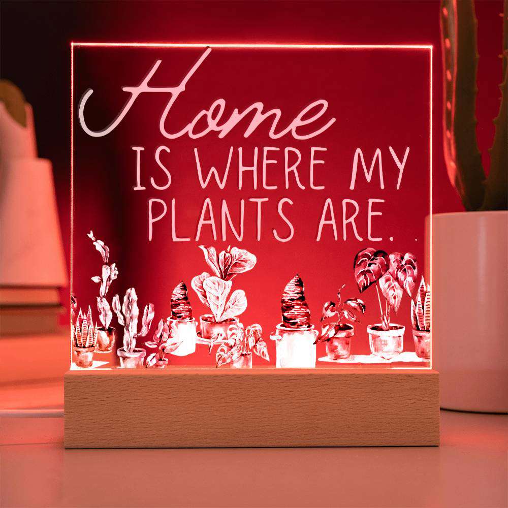 Funny Plant Acrylic LED Night Light - Indoor Home Garden Decor Gift for Plant Lovers