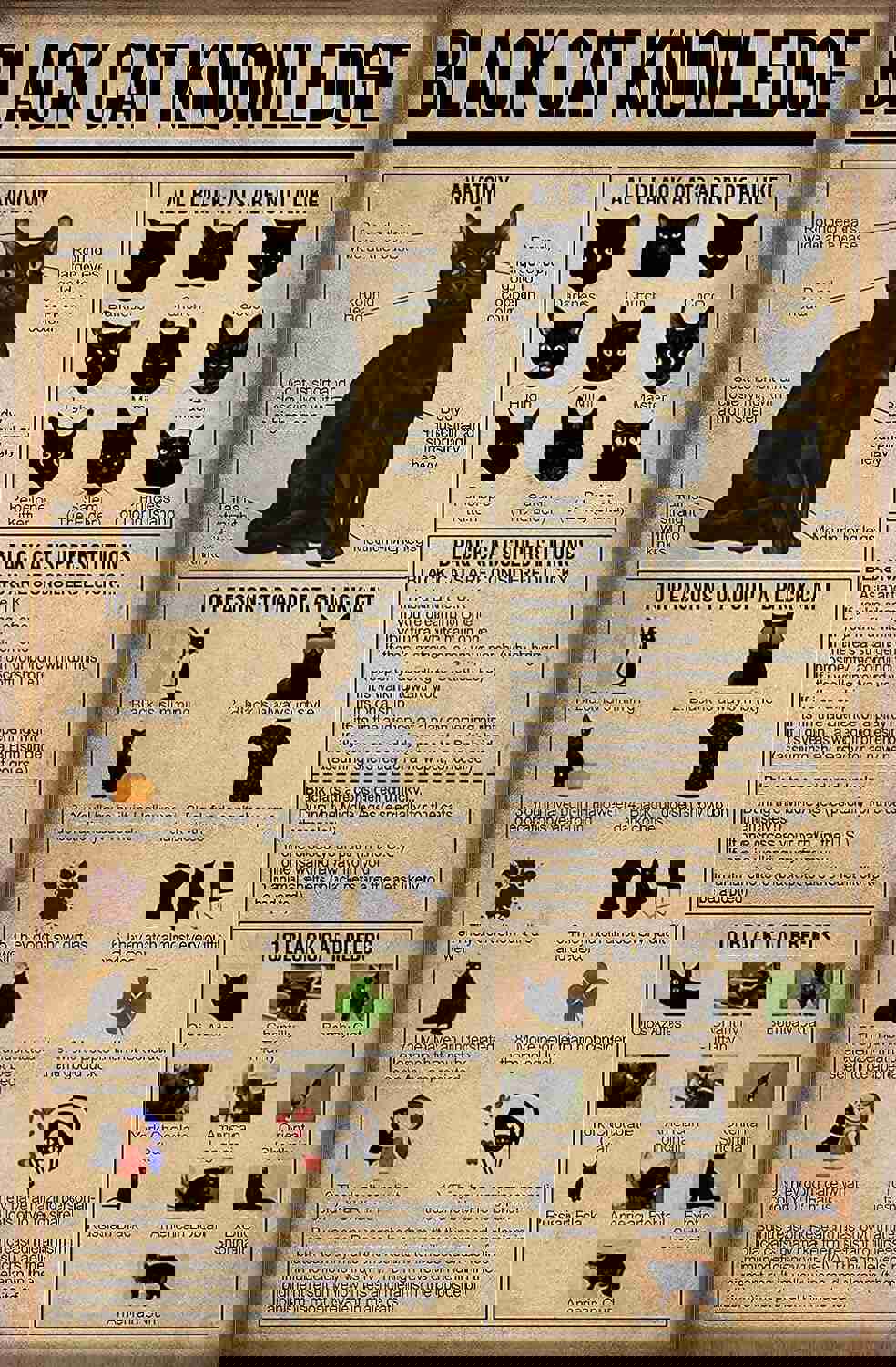 Black Cat Knowledge Tin Sign - Vintage Kitchen Decor Metal Poster for Home & Bar