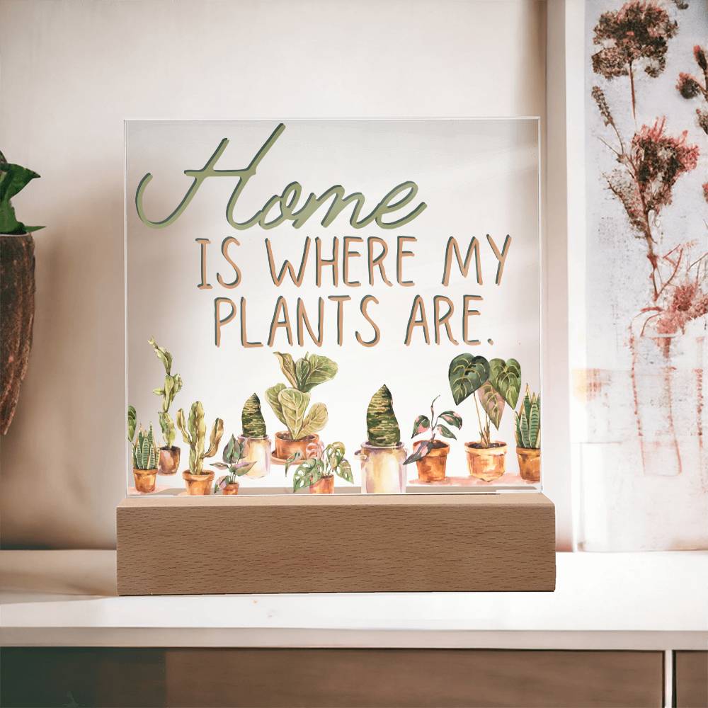 Funny Plant Acrylic LED Night Light - Indoor Home Garden Decor Gift for Plant Lovers