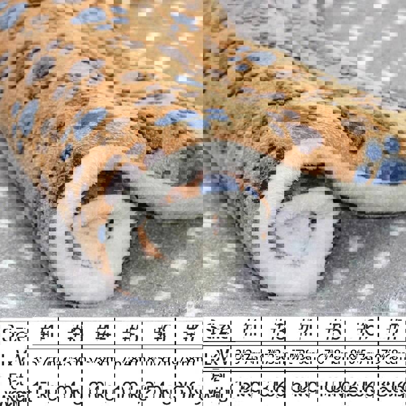 Flannel Pet Sleeping Mat - Cozy Dog Bed & Cat Litter for Small to Large Pets