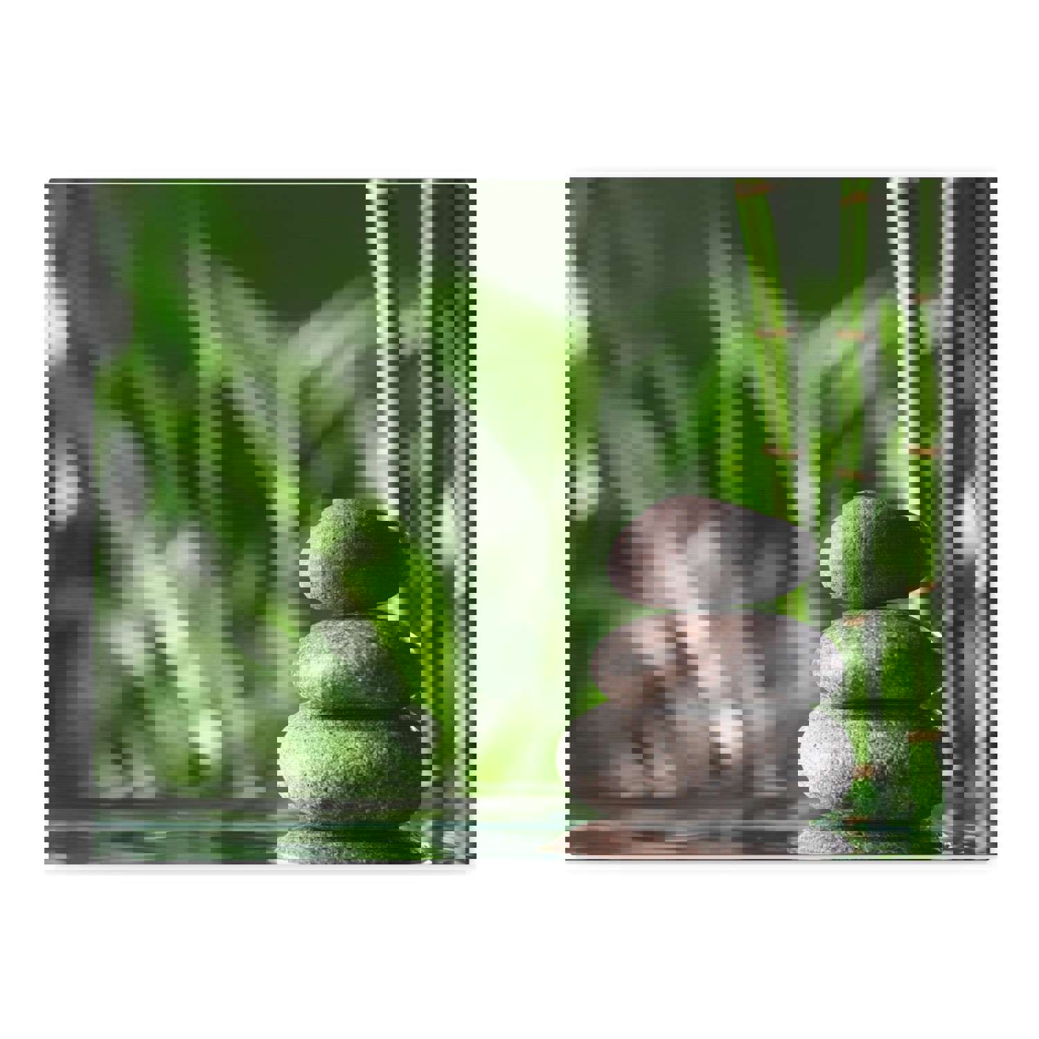 Stacked Stones on Water Forest Floral Nature Photography Canvas Wall Art for Home Decor