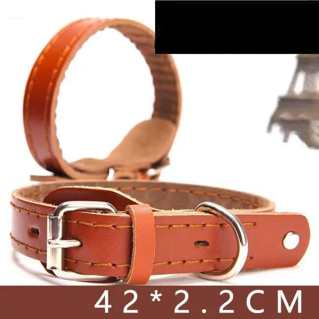 Stylish and Durable Leather Dog Collar