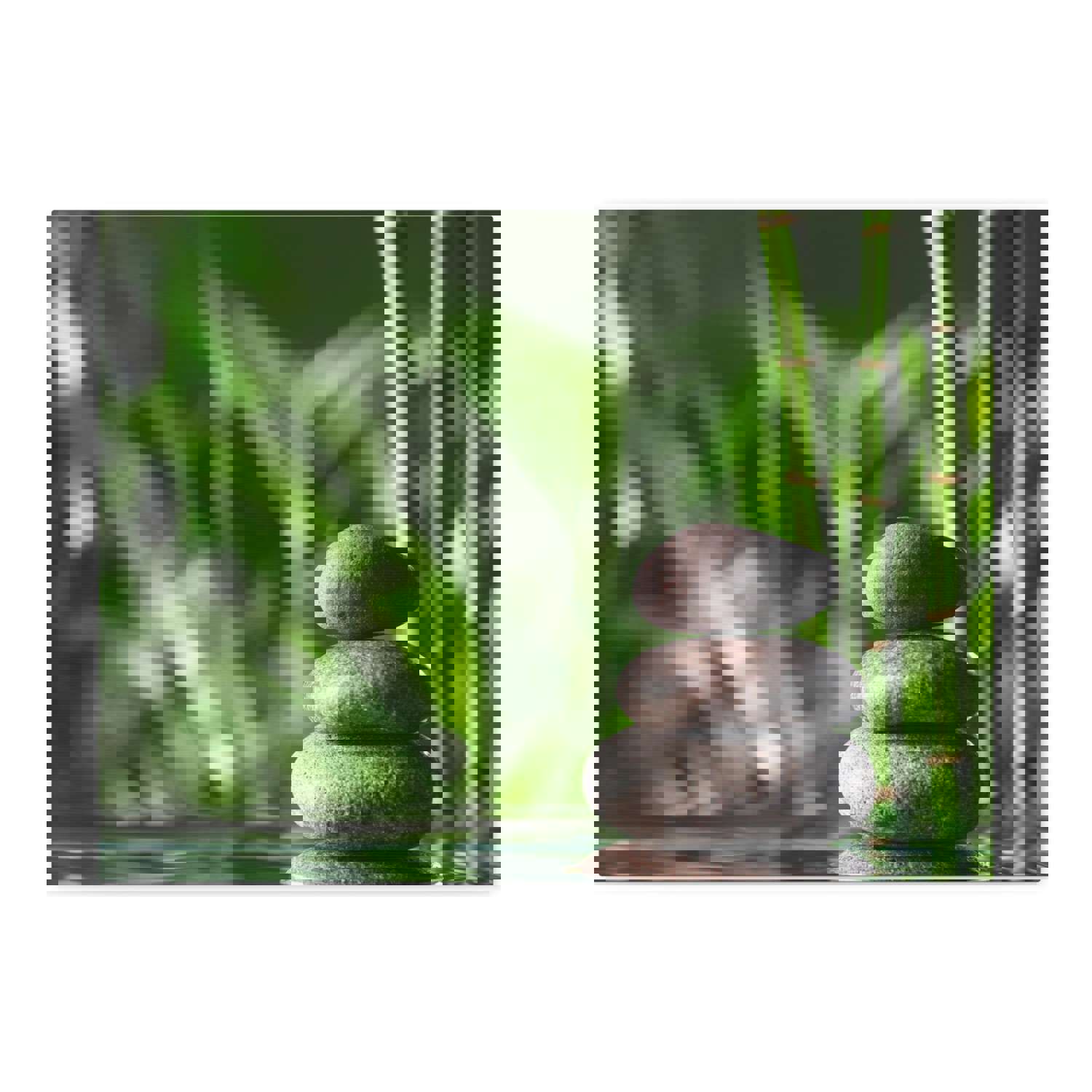 Stacked Stones on Water Forest Floral Nature Photography Canvas Wall Art for Home Decor