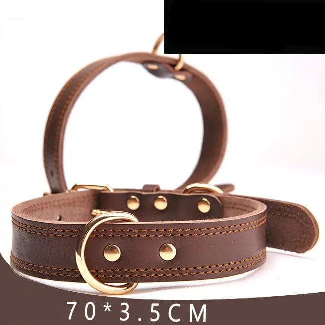 Stylish and Durable Leather Dog Collar
