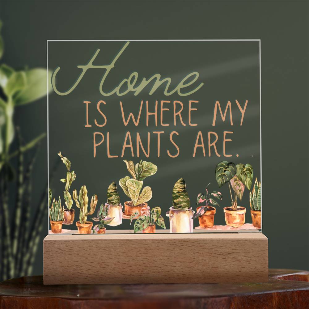 Funny Plant Acrylic LED Night Light - Indoor Home Garden Decor Gift for Plant Lovers
