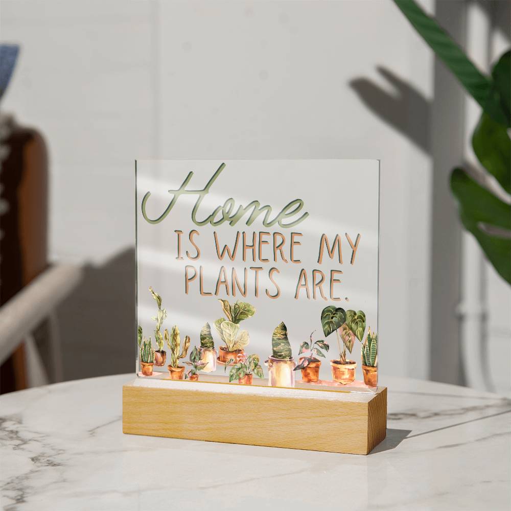 Funny Plant Acrylic LED Night Light - Indoor Home Garden Decor Gift for Plant Lovers