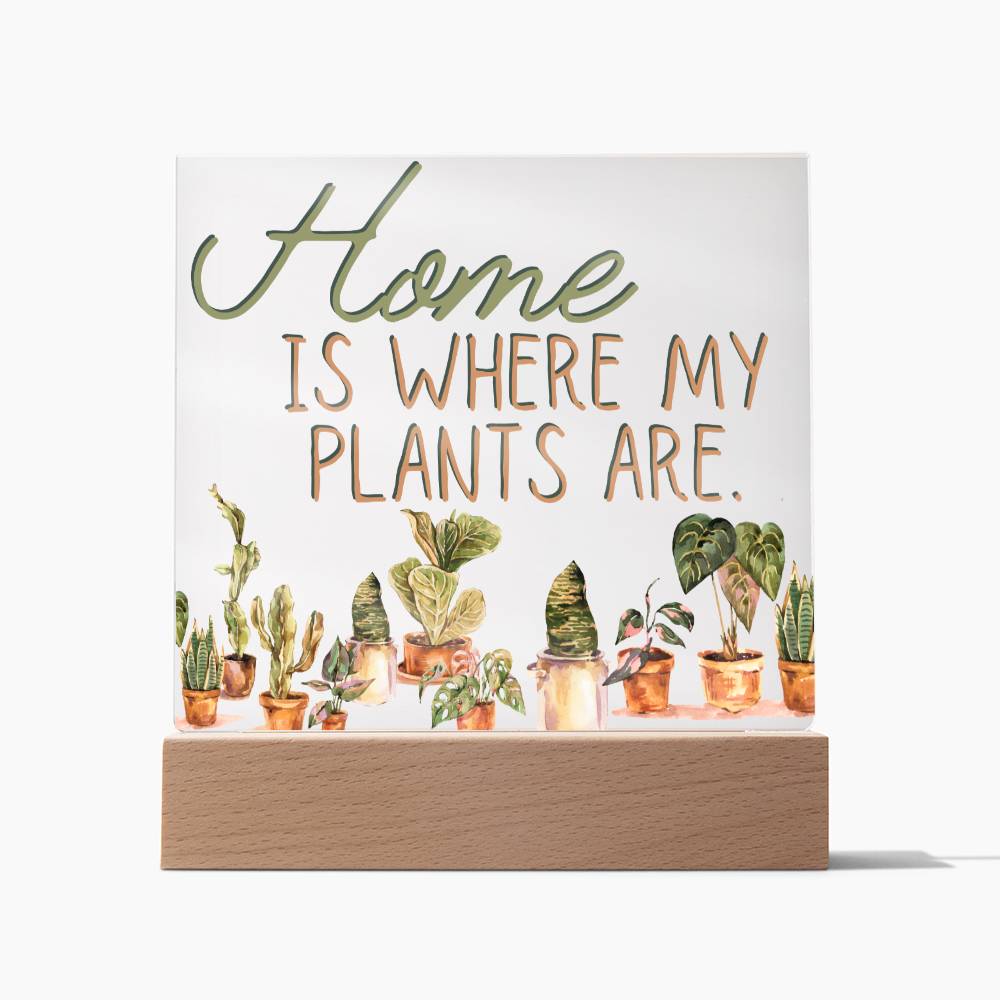 Funny Plant Acrylic LED Night Light - Indoor Home Garden Decor Gift for Plant Lovers