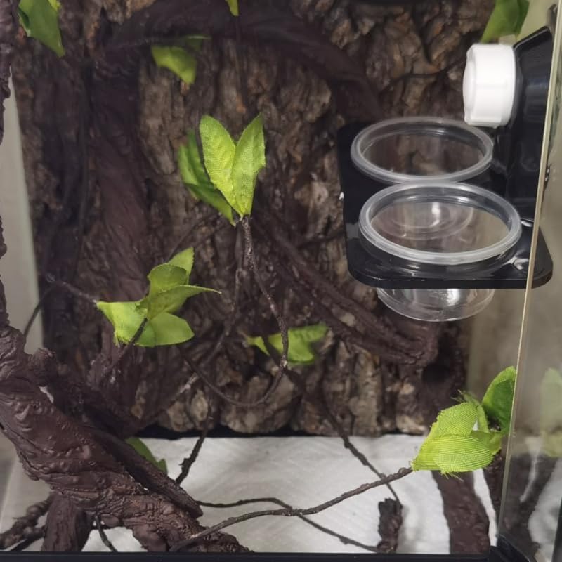 MRTIOO 100pcs 1oz Crested Gecko Food and Water Feeding Cups, Reptile Feeder Bowls for Lizards and Small Pets