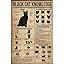 Black Cat Knowledge Tin Sign - Vintage Kitchen Decor Metal Poster for Home & Bar