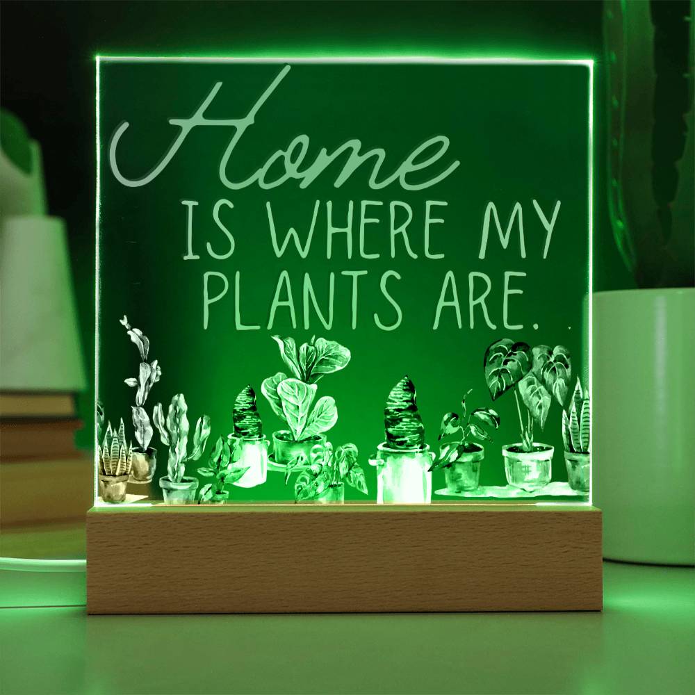 Funny Plant Acrylic LED Night Light - Indoor Home Garden Decor Gift for Plant Lovers