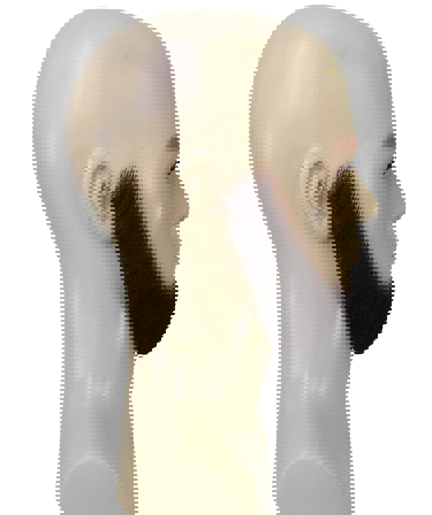 HPO Adult Mens Chin Curtain Style Long Beard Set