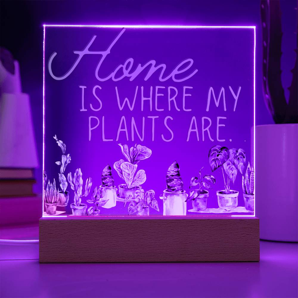 Funny Plant Acrylic LED Night Light - Indoor Home Garden Decor Gift for Plant Lovers