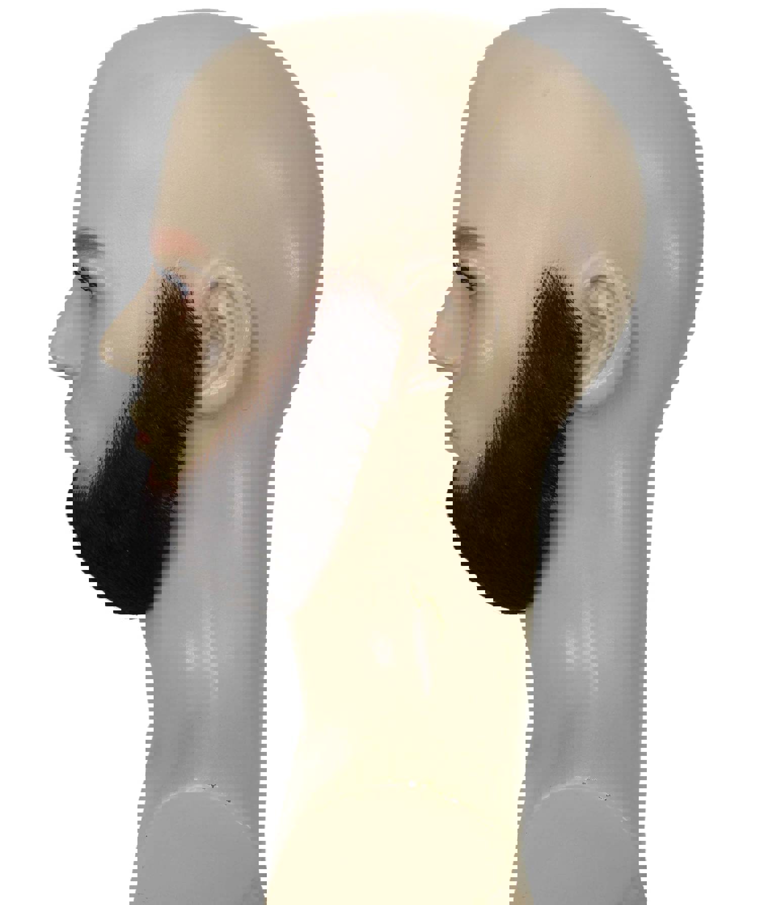 HPO Adult Mens Chin Curtain Style Long Beard Set