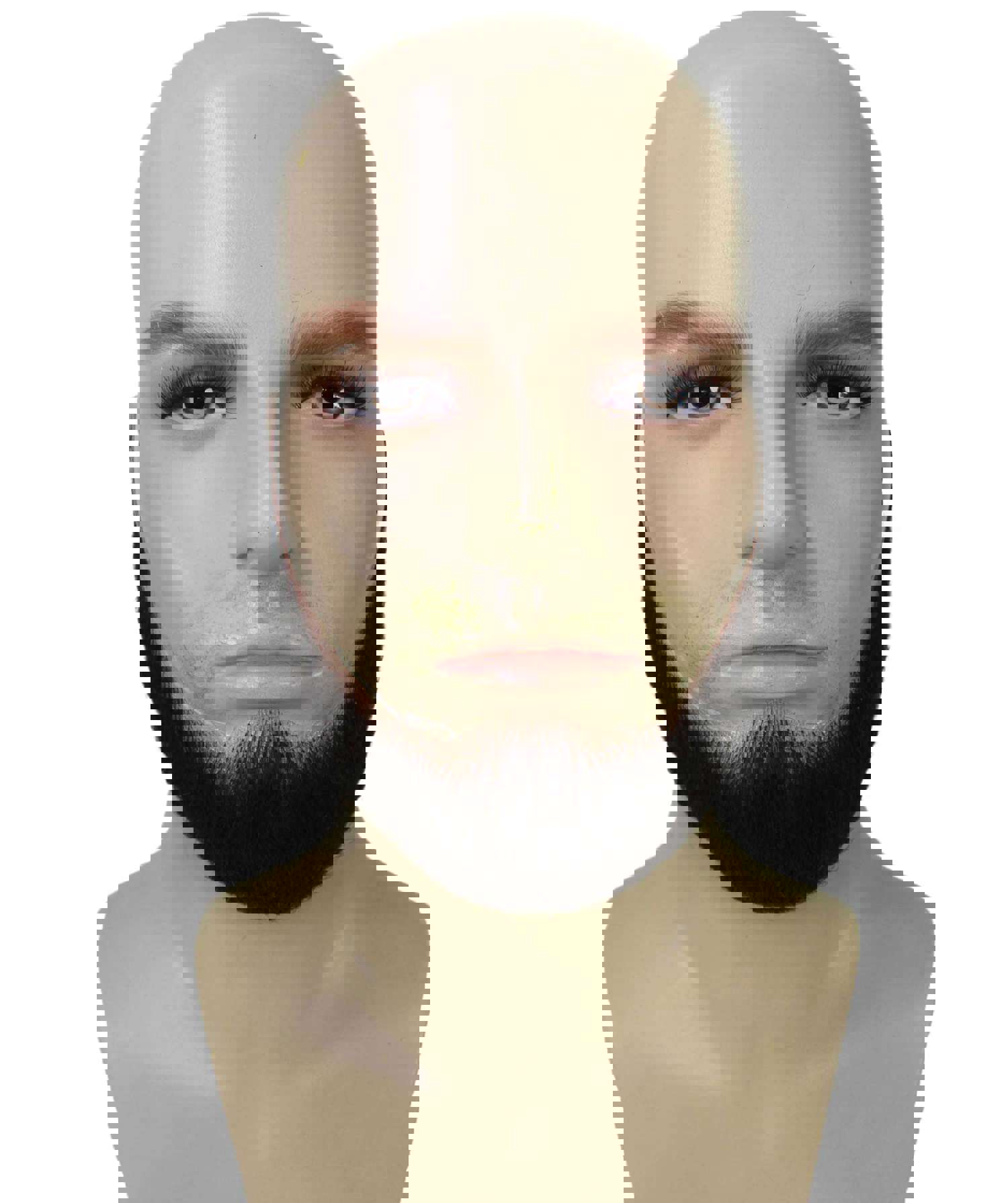 HPO Adult Mens Chin Curtain Style Long Beard Set