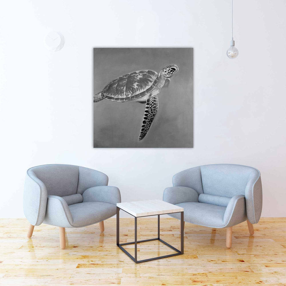 Grayscale Aquatic Turtle Fine Art Gallery Wrapped Canvas 36x36