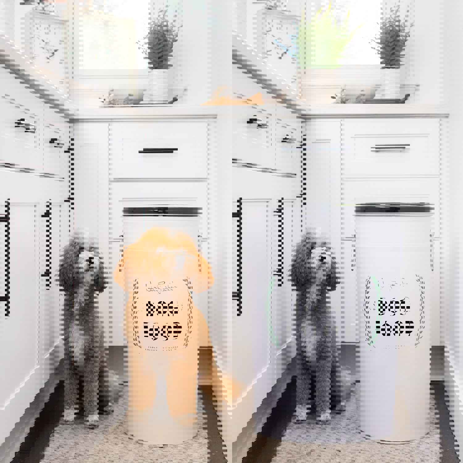 Laurel Dog Food Storage Canister - Airtight Pet Food Container