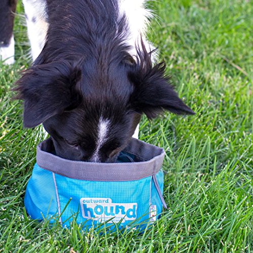 Outward Hound Port-A-Bowl Collapsible Travel Dog Food and Water Bowl