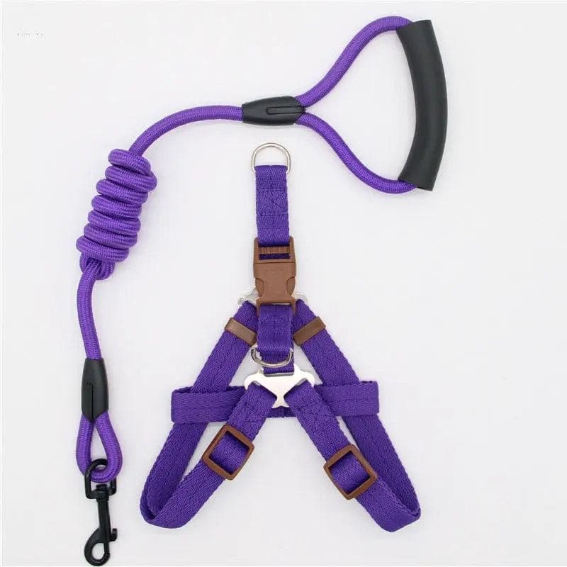 Nylon Dog Leash - Multiple Colors and Sizes for Small to Large Dogs