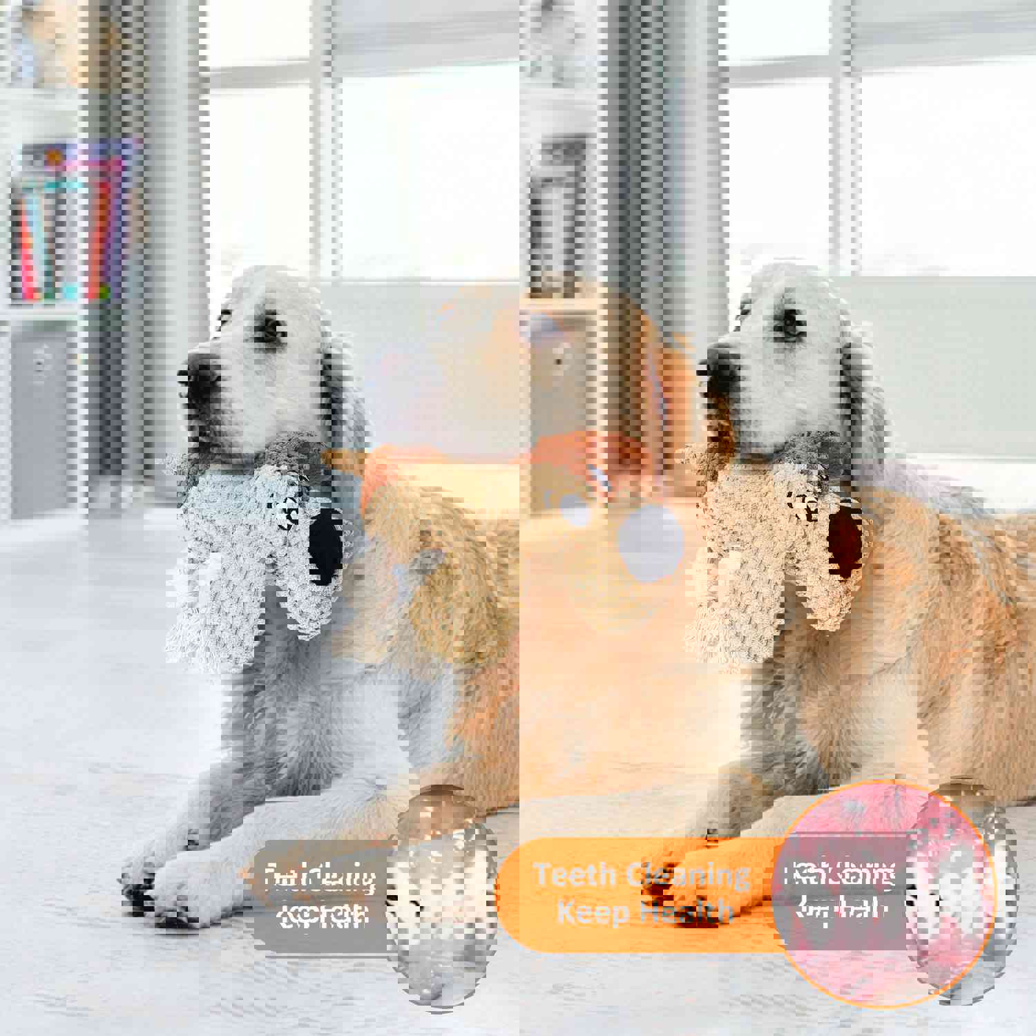 PUHOHUN Squeaky Dog Plush Toy for Large Chewers with Crinkle Paper and Squeaker