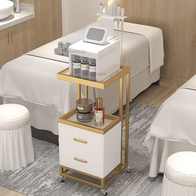 Modern Metal Trolley for Salon and Commercial Use