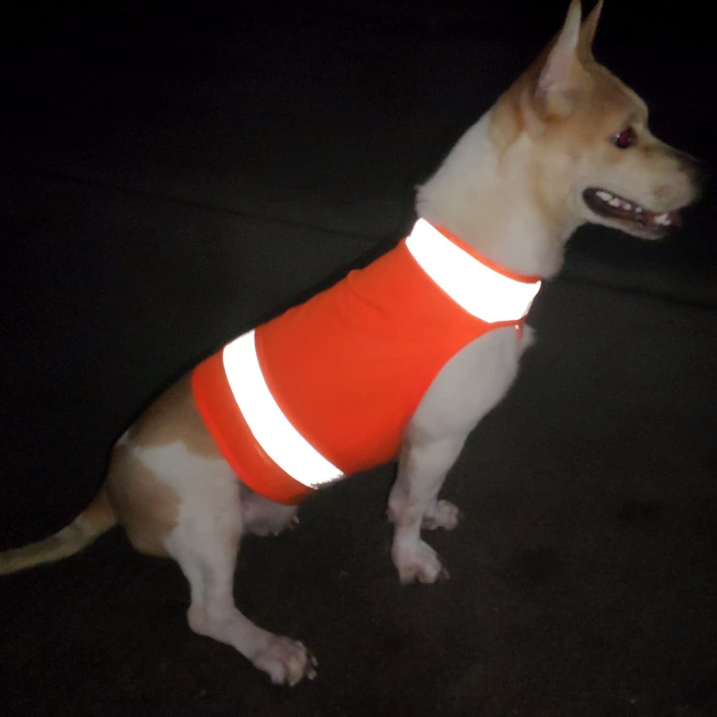 Blaze Orange Dog Vest - High Visibility Safety Vest for Hunting and Outdoor Activities