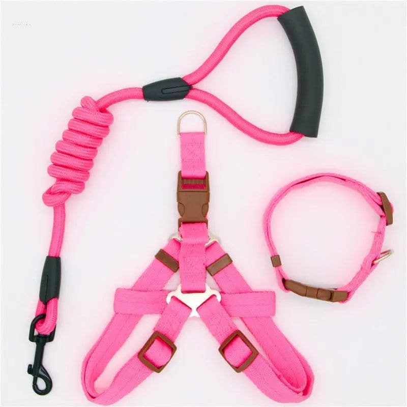 Nylon Dog Leash - Multiple Colors and Sizes for Small to Large Dogs
