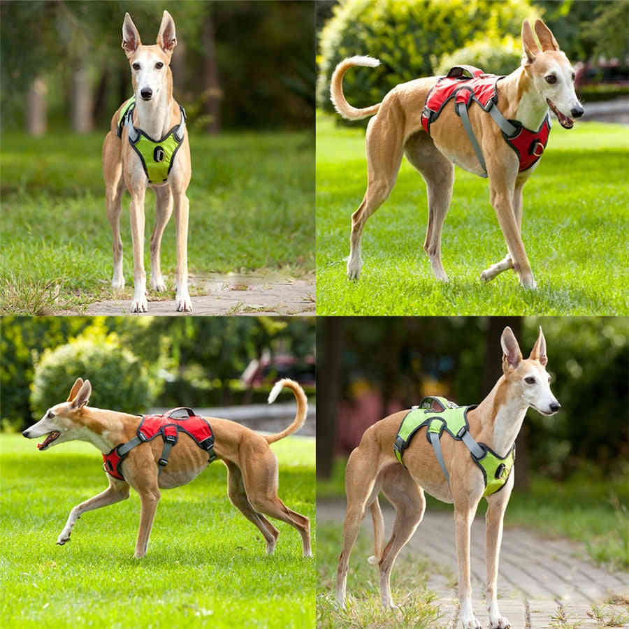 Pet Dog Harness - Reflective Safety Vest for Training and Outdoor Activities