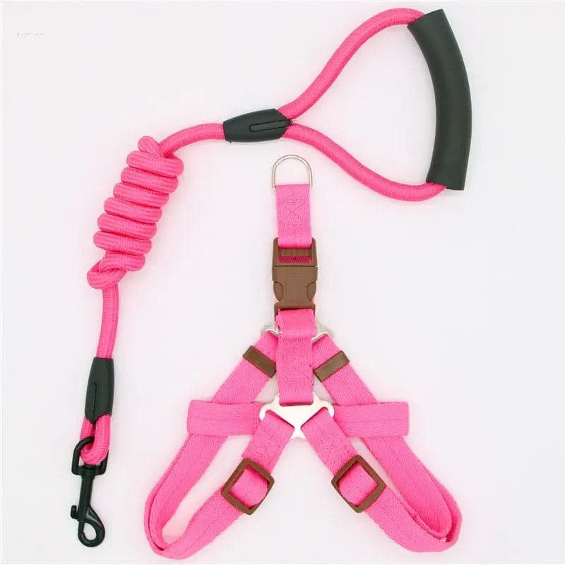 Nylon Dog Leash - Multiple Colors and Sizes for Small to Large Dogs