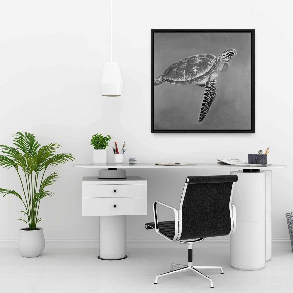 Grayscale Aquatic Turtle Fine Art Gallery Wrapped Canvas 36x36