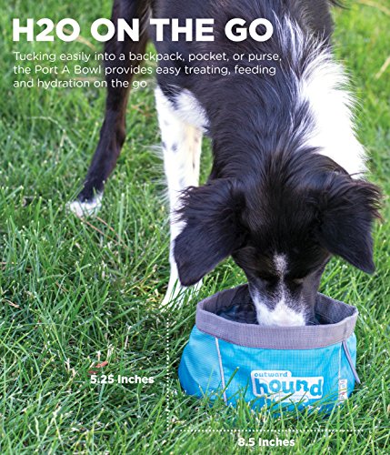 Outward Hound Port-A-Bowl Collapsible Travel Dog Food and Water Bowl
