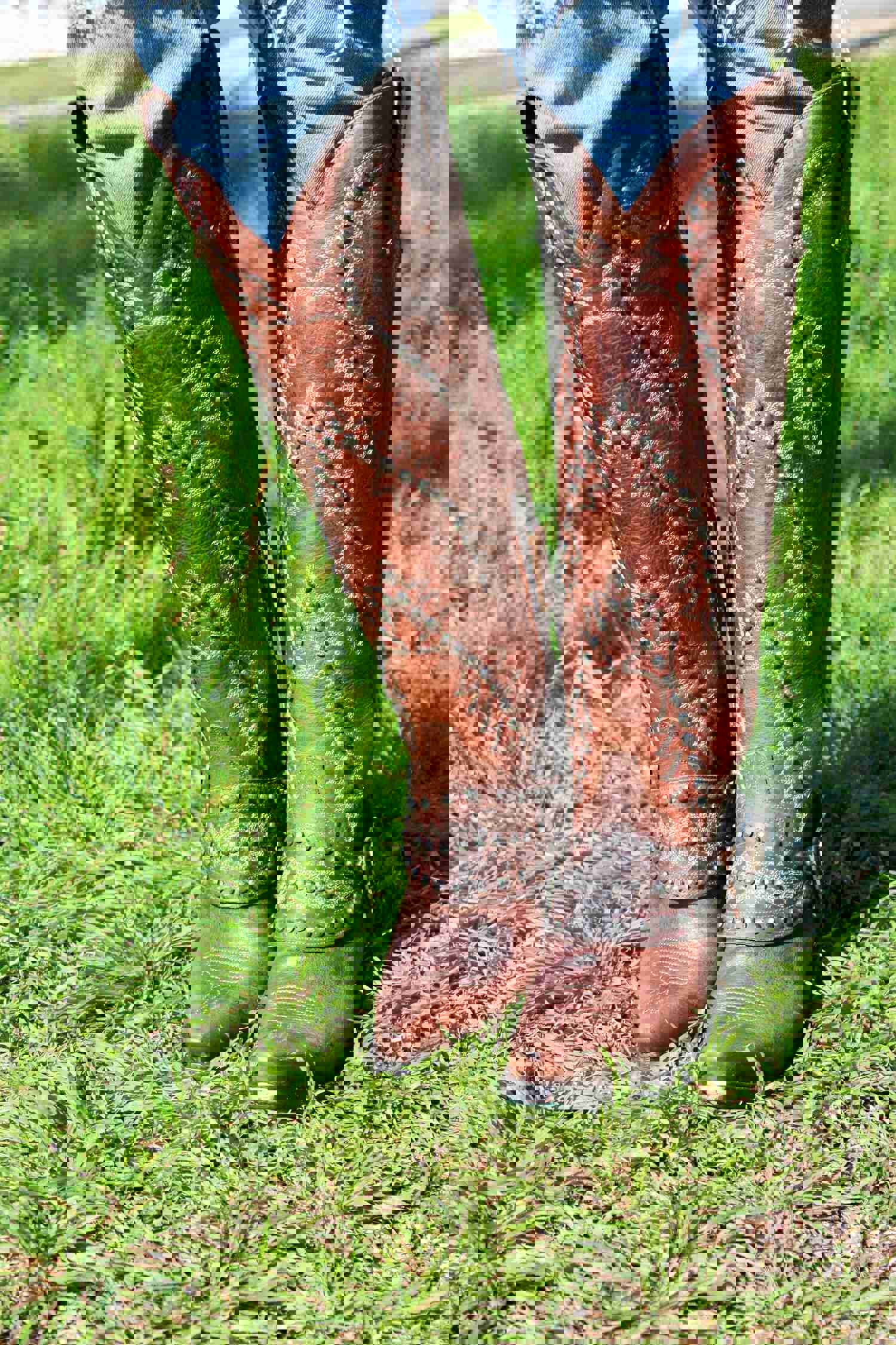 Cowgirl Kim Custom Desert Moon Boots by Lane Boots