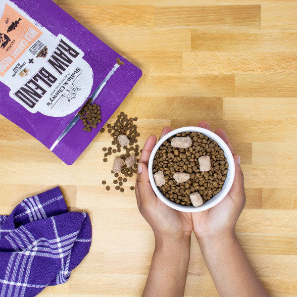 Stella & Chewys Baked Kibble for Cats - Raw Blend Wild-Caught Dry Cat Food, 5-lb Bag