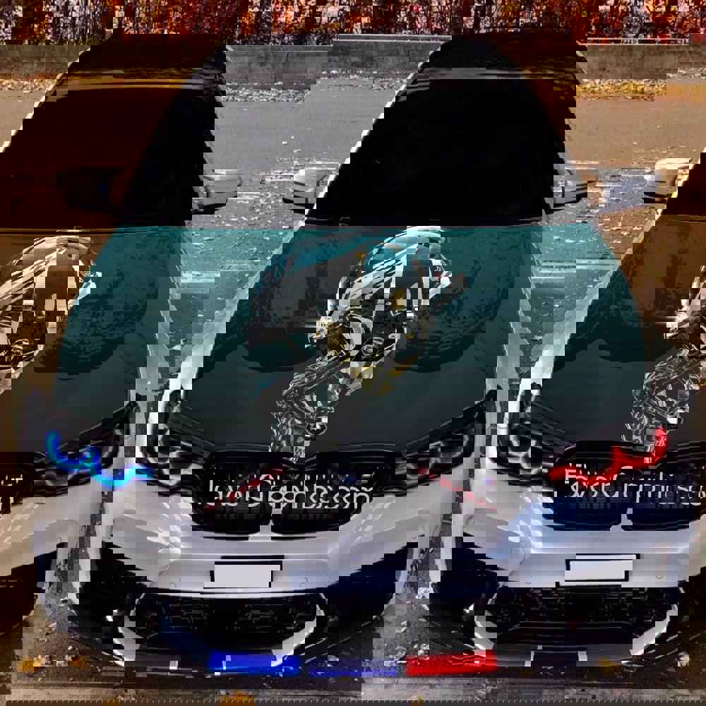 Philadelphia Eagles Itasha Car Vinyl Hood Wrap Decal Sticker