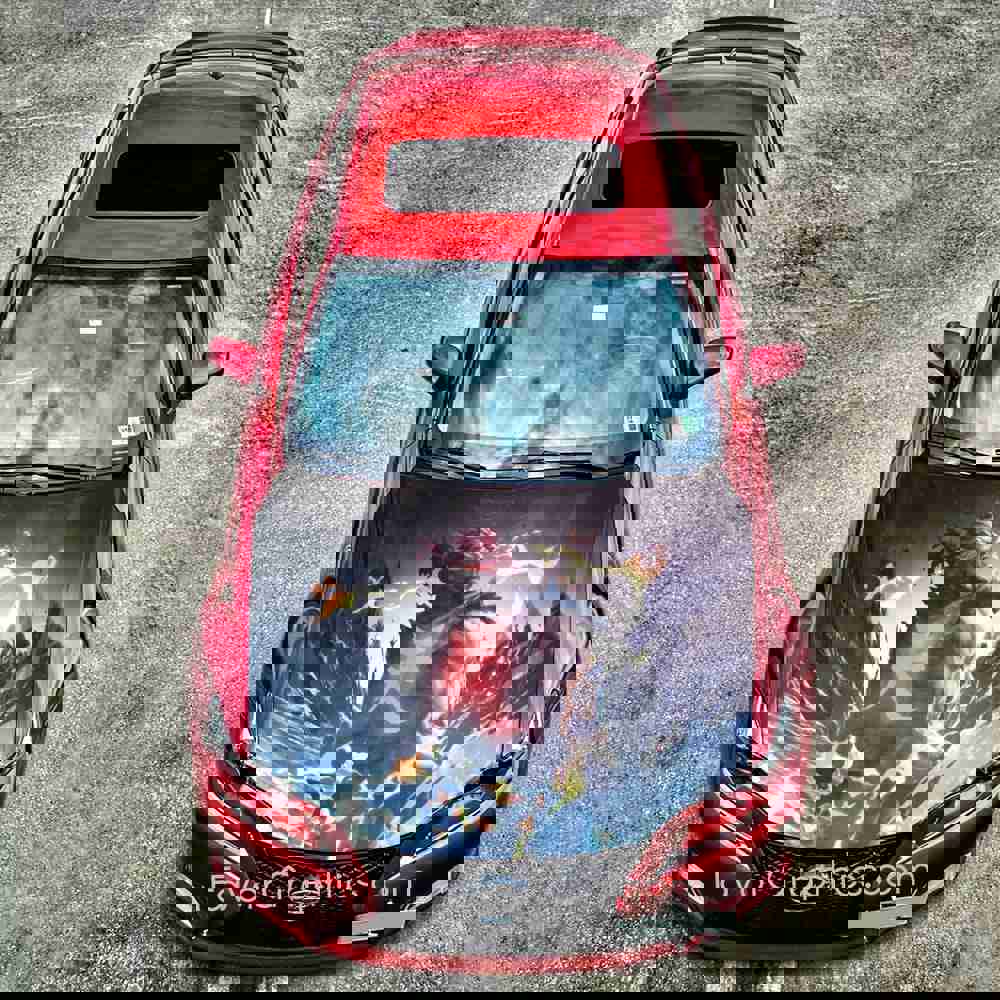 Akuma Street Fighter Itasha Car Vinyl Hood Wrap Decal Sticker