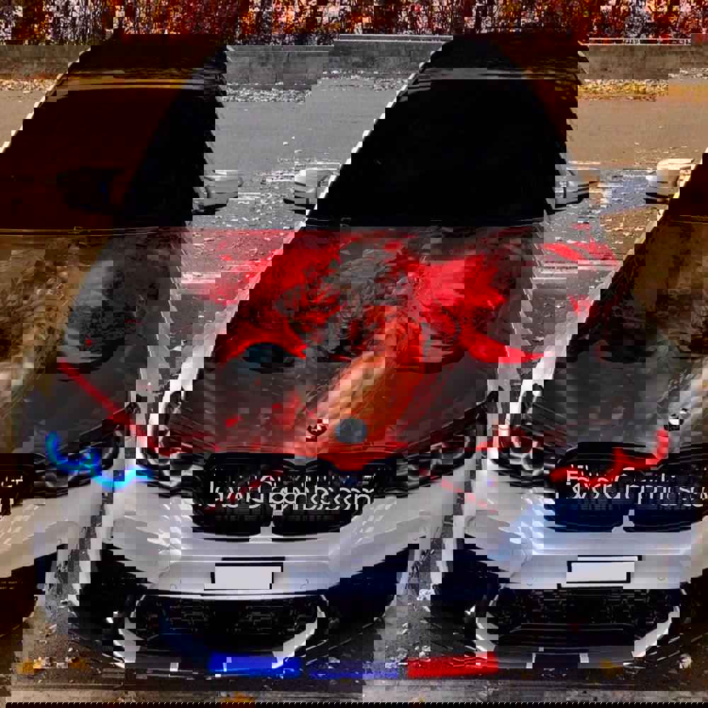 Akuma Street Fighter Itasha Car Vinyl Hood Wrap Decal Sticker