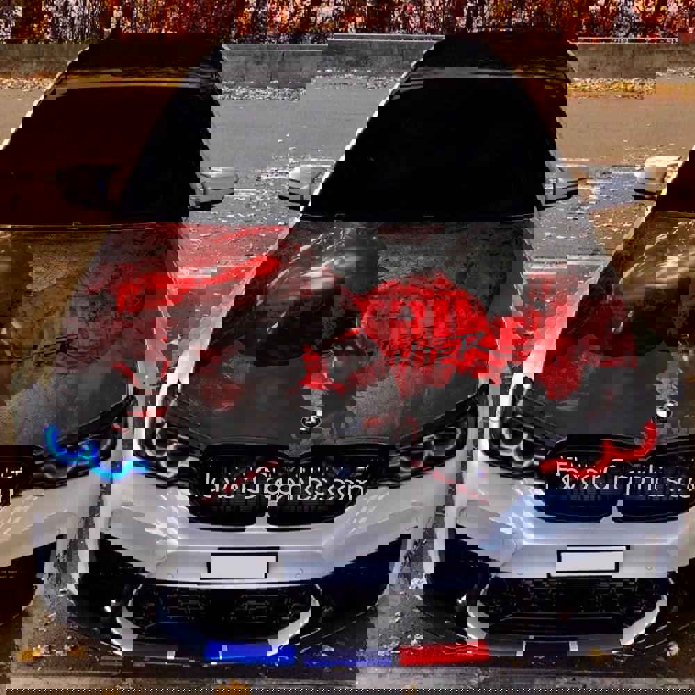 Akuma Street Fighter Itasha Car Vinyl Hood Wrap Decal Sticker