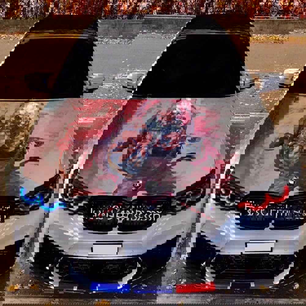 Akuma Street Fighter Itasha Car Vinyl Hood Wrap Decal Sticker